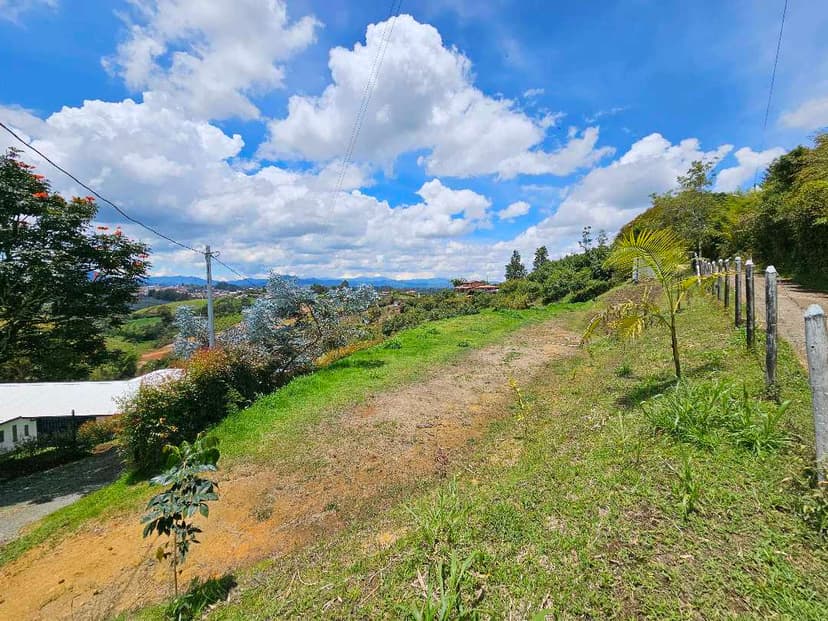 Se vende lote en vereda Alto Grande. Carmen de viboral.