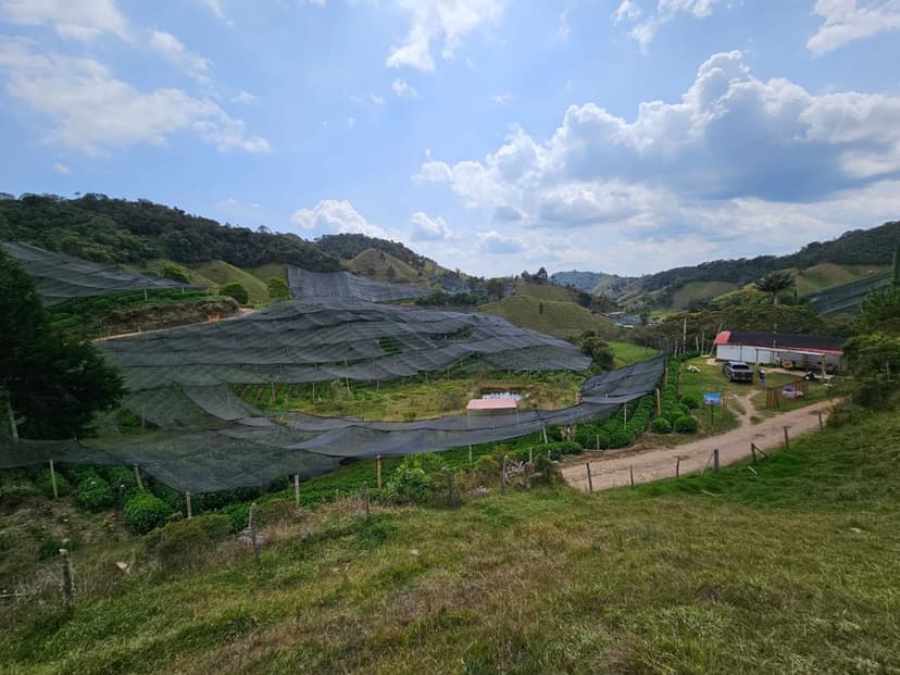 Lote en venta via la Ceja - San José